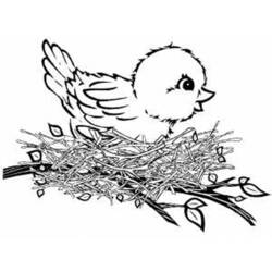 Dibujo para colorear: Aves (Animales) #11952 - Dibujos para Colorear e Imprimir Gratis