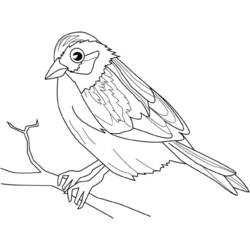Dibujo para colorear: Aves (Animales) #11961 - Dibujos para Colorear e Imprimir Gratis