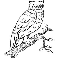 Dibujo para colorear: Aves (Animales) #11974 - Dibujos para Colorear e Imprimir Gratis