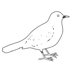 Dibujo para colorear: Aves (Animales) #11977 - Dibujos para Colorear e Imprimir Gratis