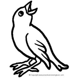 Dibujo para colorear: Aves (Animales) #11983 - Dibujos para Colorear e Imprimir Gratis