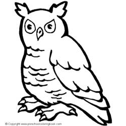 Dibujo para colorear: Aves (Animales) #11984 - Dibujos para Colorear e Imprimir Gratis