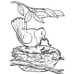 Dibujo para colorear: Aves (Animales) #11997 - Dibujos para Colorear e Imprimir Gratis