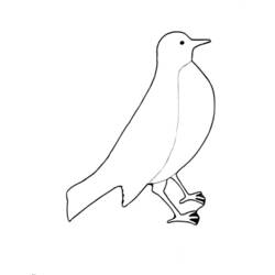 Dibujo para colorear: Aves (Animales) #12011 - Dibujos para Colorear e Imprimir Gratis