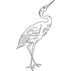 Dibujo para colorear: Aves (Animales) #12067 - Dibujos para Colorear e Imprimir Gratis