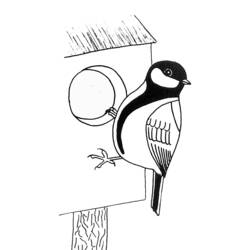 Dibujo para colorear: Aves (Animales) #12125 - Dibujos para Colorear e Imprimir Gratis