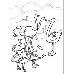 Dibujo para colorear: Avestruz (Animales) #722 - Dibujos para Colorear e Imprimir Gratis