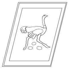 Dibujo para colorear: Avestruz (Animales) #754 - Dibujos para Colorear e Imprimir Gratis
