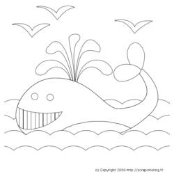 Dibujo para colorear: Ballena (Animales) #889 - Dibujos para Colorear e Imprimir Gratis