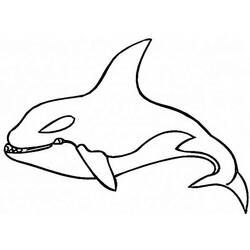 Dibujo para colorear: Ballena (Animales) #941 - Dibujos para Colorear e Imprimir Gratis