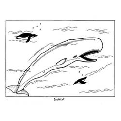 Dibujo para colorear: Beluga (Animales) #1046 - Dibujos para Colorear e Imprimir Gratis