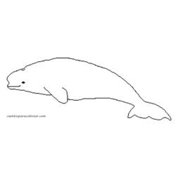 Dibujo para colorear: Beluga (Animales) #1063 - Dibujos para Colorear e Imprimir Gratis