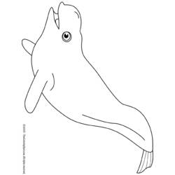 Dibujo para colorear: Beluga (Animales) #1064 - Dibujos para Colorear e Imprimir Gratis