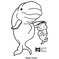 Dibujo para colorear: Beluga (Animales) #1065 - Dibujos para Colorear e Imprimir Gratis