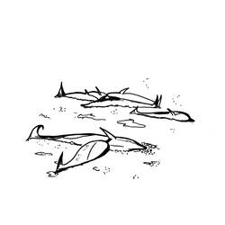 Dibujo para colorear: Beluga (Animales) #1079 - Dibujos para Colorear e Imprimir Gratis