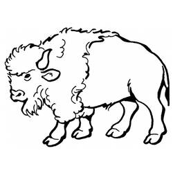 Dibujo para colorear: Bisonte (Animales) #1190 - Dibujos para Colorear e Imprimir Gratis