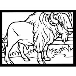 Dibujo para colorear: Bisonte (Animales) #1191 - Dibujos para Colorear e Imprimir Gratis