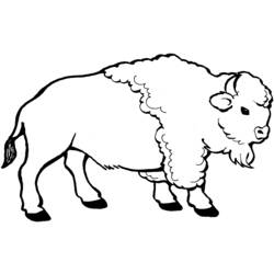 Dibujo para colorear: Bisonte (Animales) #1195 - Dibujos para Colorear e Imprimir Gratis