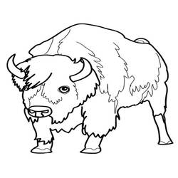 Dibujo para colorear: Bisonte (Animales) #1201 - Dibujos para Colorear e Imprimir Gratis