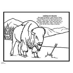 Dibujo para colorear: Bisonte (Animales) #1257 - Dibujos para Colorear e Imprimir Gratis