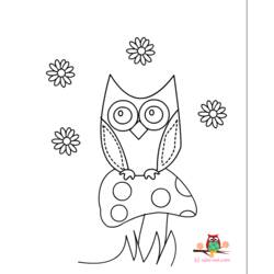 Dibujo para colorear: Búho (Animales) #8530 - Dibujos para Colorear e Imprimir Gratis