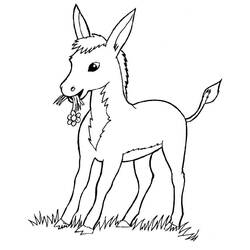 Dibujo para colorear: Burro (Animales) #478 - Dibujos para Colorear e Imprimir Gratis