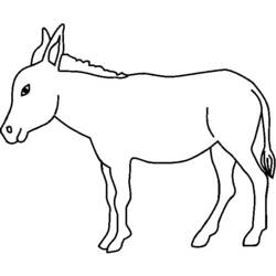 Dibujo para colorear: Burro (Animales) #497 - Dibujos para Colorear e Imprimir Gratis