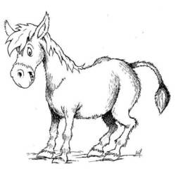Dibujo para colorear: Burro (Animales) #504 - Dibujos para Colorear e Imprimir Gratis