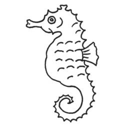 Dibujo para colorear: Caballito de mar (Animales) #18608 - Dibujos para Colorear e Imprimir Gratis
