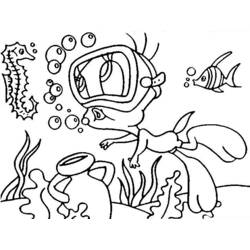 Dibujo para colorear: Caballito de mar (Animales) #18726 - Dibujos para Colorear e Imprimir Gratis