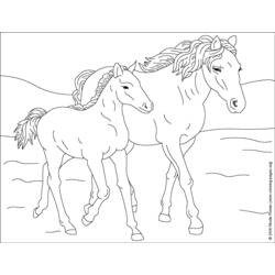 Dibujo para colorear: Caballo (Animales) #2165 - Dibujos para Colorear e Imprimir Gratis