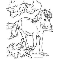 Dibujo para colorear: Caballo (Animales) #2212 - Dibujos para Colorear e Imprimir Gratis