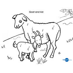 Dibujo para colorear: Cabra (Animales) #2437 - Dibujos para Colorear e Imprimir Gratis