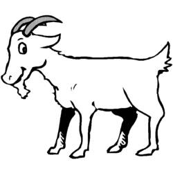 Dibujo para colorear: Cabra (Animales) #2438 - Dibujos para Colorear e Imprimir Gratis