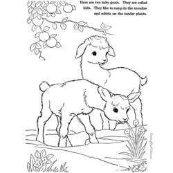 Dibujo para colorear: Cabra (Animales) #2520 - Dibujos para Colorear e Imprimir Gratis