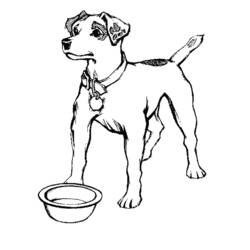 Dibujo para colorear: Cachorro (Animales) #2893 - Dibujos para Colorear e Imprimir Gratis