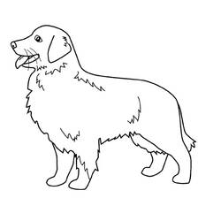 Dibujo para colorear: Cachorro (Animales) #2904 - Dibujos para Colorear e Imprimir Gratis
