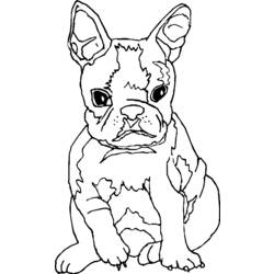 Dibujo para colorear: Cachorro (Animales) #2924 - Dibujos para Colorear e Imprimir Gratis