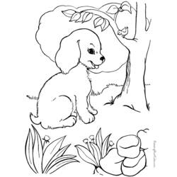 Dibujo para colorear: Cachorro (Animales) #2926 - Dibujos para Colorear e Imprimir Gratis