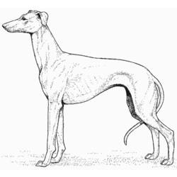 Dibujo para colorear: Cachorro (Animales) #2955 - Dibujos para Colorear e Imprimir Gratis