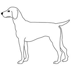 Dibujo para colorear: Cachorro (Animales) #2956 - Dibujos para Colorear e Imprimir Gratis