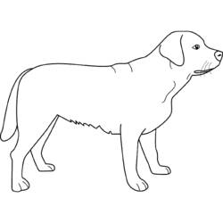 Dibujo para colorear: Cachorro (Animales) #2965 - Dibujos para Colorear e Imprimir Gratis