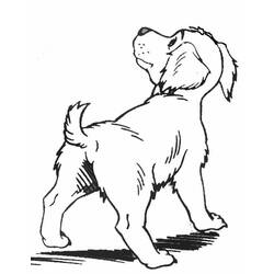 Dibujo para colorear: Cachorro (Animales) #2988 - Dibujos para Colorear e Imprimir Gratis