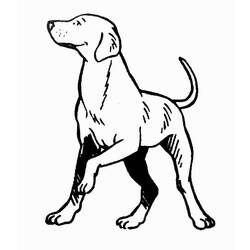 Dibujo para colorear: Cachorro (Animales) #3014 - Dibujos para Colorear e Imprimir Gratis