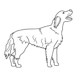 Dibujo para colorear: Cachorro (Animales) #3025 - Dibujos para Colorear e Imprimir Gratis