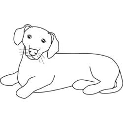 Dibujo para colorear: Cachorro (Animales) #3031 - Dibujos para Colorear e Imprimir Gratis