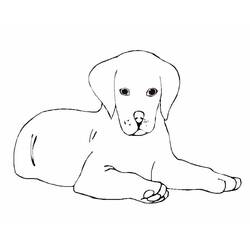 Dibujo para colorear: Cachorro (Animales) #3052 - Dibujos para Colorear e Imprimir Gratis
