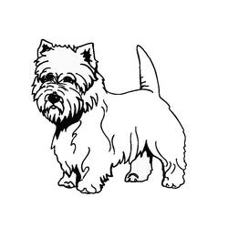 Dibujo para colorear: Cachorro (Animales) #3065 - Dibujos para Colorear e Imprimir Gratis