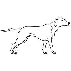Dibujo para colorear: Cachorro (Animales) #3080 - Dibujos para Colorear e Imprimir Gratis
