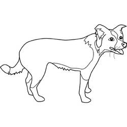 Dibujo para colorear: Cachorro (Animales) #3088 - Dibujos para Colorear e Imprimir Gratis